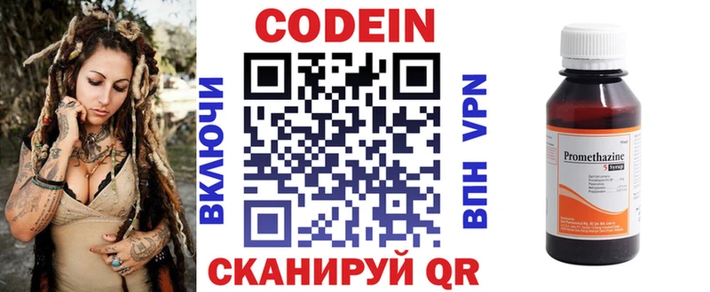 Купить закладки  Кириши  Codein напиток Lean (лин) 