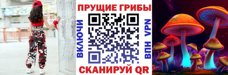 Купить закладки Кириши Галлюциногенные грибы Psilocybine cubensis